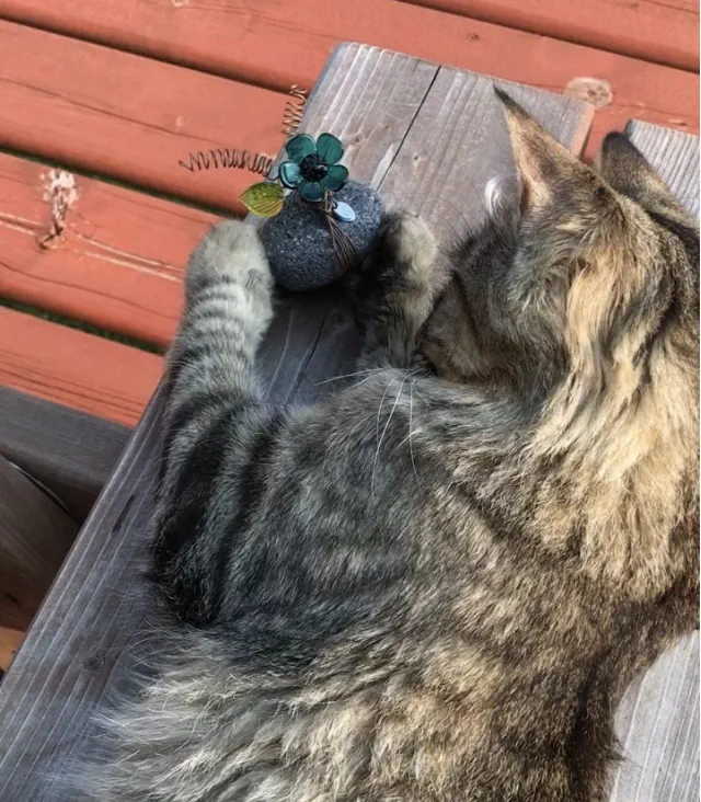 The Pegsmith's Cat Max Testing Product Durability